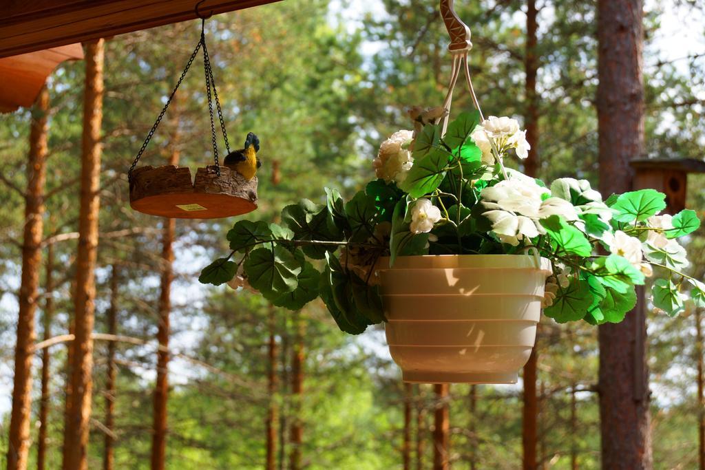 Kettu Holl Cottage Taipalsaari ภายนอก รูปภาพ