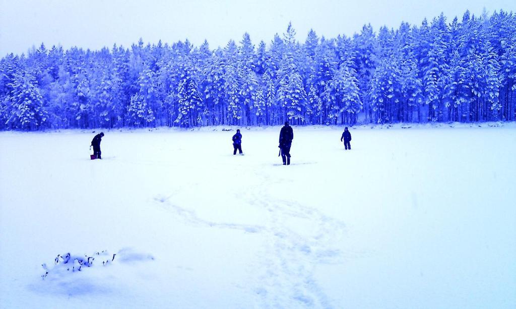 Kettu Holl Cottage Taipalsaari ภายนอก รูปภาพ