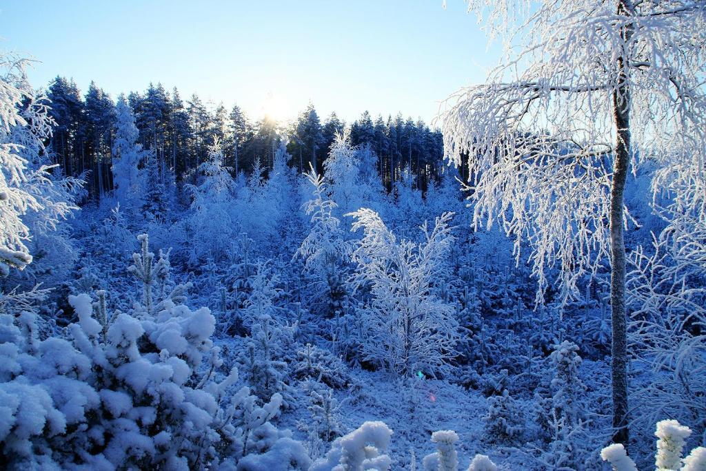 Kettu Holl Cottage Taipalsaari ภายนอก รูปภาพ